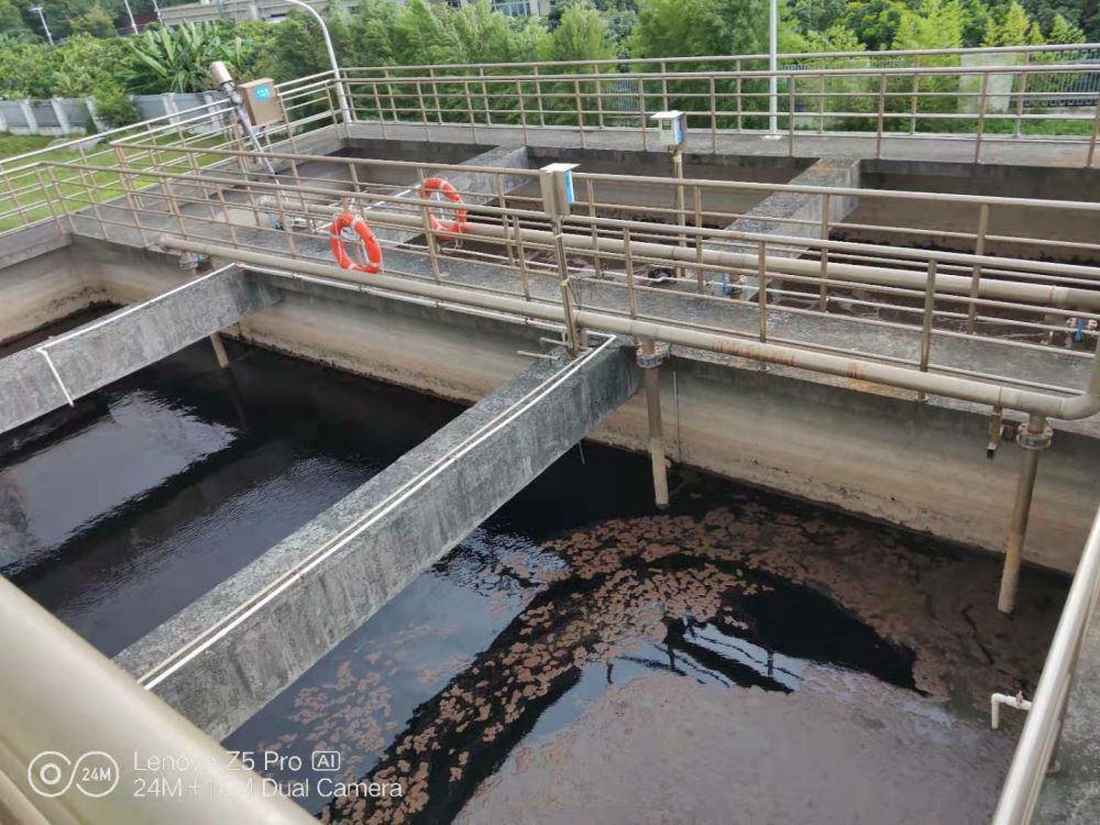 Beer wastewater from Guangzhou